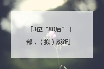 3位“80后”干部，（拟）履新