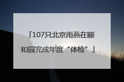 107只北京雨燕在颐和园完成年度“体检”