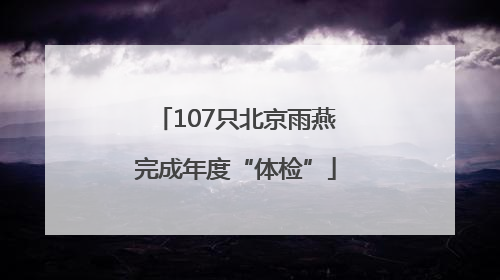 107只北京雨燕完成年度“体检”