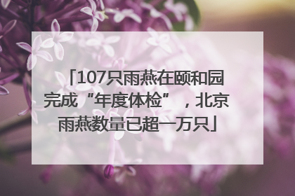107只雨燕在颐和园完成“年度体检”，北京雨燕数量已超一万只