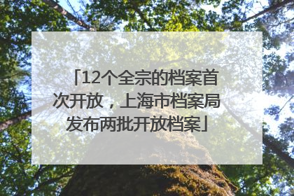 12个全宗的档案首次开放，上海市档案局发布两批开放档案
