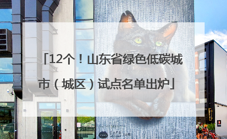12个！山东省绿色低碳城市（城区）试点名单出炉