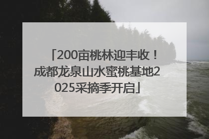200亩桃林迎丰收！成都龙泉山水蜜桃基地2025采摘季开启