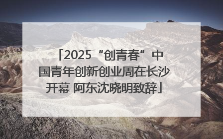 2025“创青春”中国青年创新创业周在长沙开幕 阿东沈晓明致辞