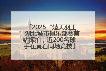 2025“楚天羽王”湖北城市俱乐部赛首站挥拍，近200名球手在黄石同场竞技