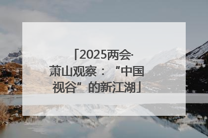 2025两会·萧山观察：“中国视谷”的新江湖
