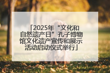 2025年“文化和自然遗产日”孔子博物馆文化遗产宣传和展示活动启动仪式举行