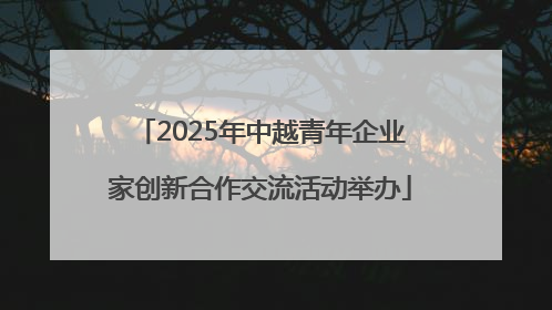 2025年中越青年企业家创新合作交流活动举办