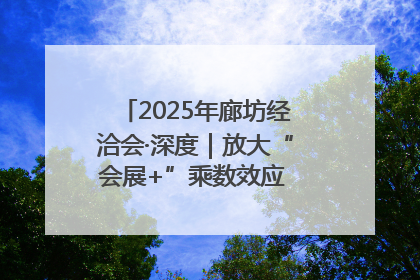 2025年廊坊经洽会·深度｜放大“会展+”乘数效应 打造消费新场景