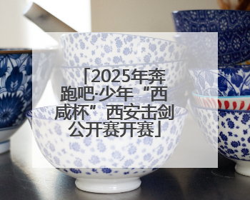 2025年奔跑吧·少年“西咸杯”西安击剑公开赛开赛