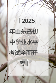 2025年山东省初中学业水平考试全面开考