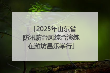 2025年山东省防汛防台风综合演练在潍坊昌乐举行