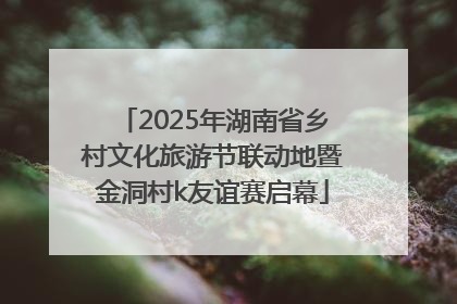 2025年湖南省乡村文化旅游节联动地暨金洞村k友谊赛启幕
