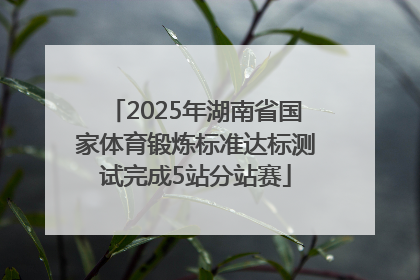 2025年湖南省国家体育锻炼标准达标测试完成5站分站赛