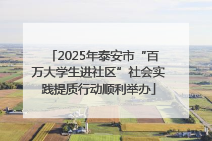 2025年泰安市“百万大学生进社区”社会实践提质行动顺利举办