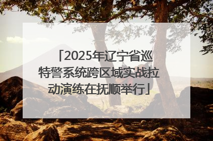 2025年辽宁省巡特警系统跨区域实战拉动演练在抚顺举行