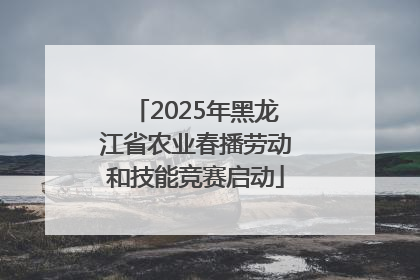 2025年黑龙江省农业春播劳动和技能竞赛启动