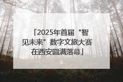 2025年首届“智见未来”数字文旅大赛在西安圆满落幕