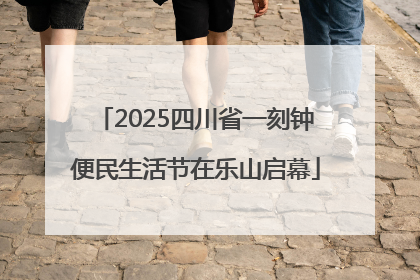 2025四川省一刻钟便民生活节在乐山启幕