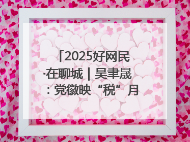 2025好网民·在聊城｜吴聿晟：党徽映“税”月 网播传政声