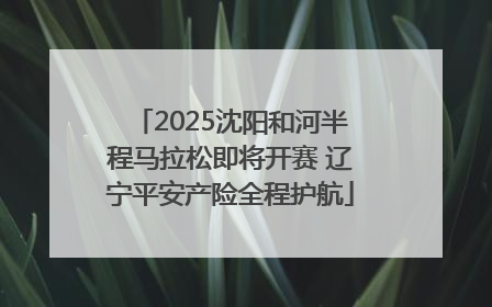 2025沈阳和河半程马拉松即将开赛 辽宁平安产险全程护航