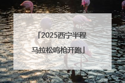 2025西宁半程马拉松鸣枪开跑