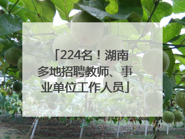224名！湖南多地招聘教师、事业单位工作人员