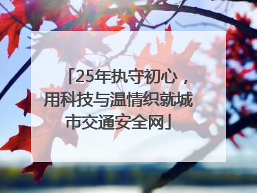 25年执守初心，用科技与温情织就城市交通安全网