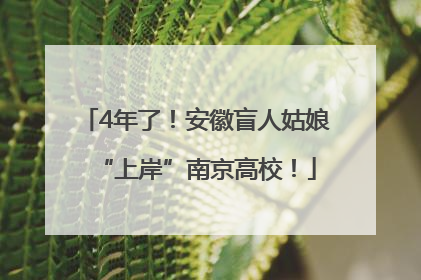 4年了！安徽盲人姑娘“上岸”南京高校！