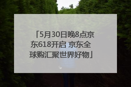 5月30日晚8点京东618开启 京东全球购汇聚世界好物