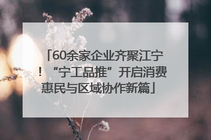 60余家企业齐聚江宁！“宁工品推”开启消费惠民与区域协作新篇