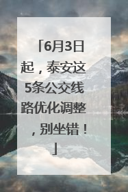 6月3日起，泰安这5条公交线路优化调整，别坐错！