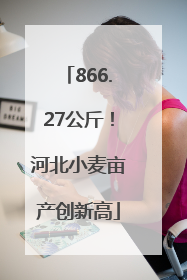866.27公斤！河北小麦亩产创新高