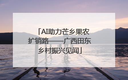 AI助力芒乡果农扩销路——广西田东乡村振兴见闻