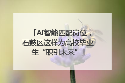 AI智能匹配岗位，石鼓区这样为高校毕业生“职引未来”