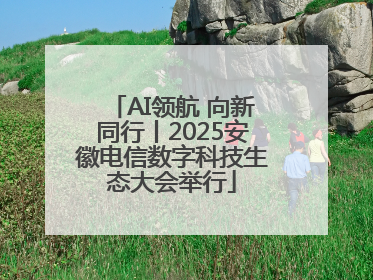 AI领航 向新同行丨2025安徽电信数字科技生态大会举行