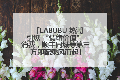 LABUBU 热潮引爆 “情绪价值” 消费，顺丰同城等第三方即配乘风而起