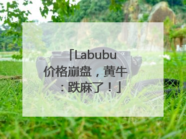 Labubu价格崩盘，黄牛：跌麻了！