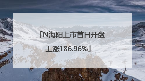 N海阳上市首日开盘上涨186.96%