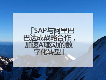 SAP与阿里巴巴达成战略合作，加速AI驱动的数字化转型