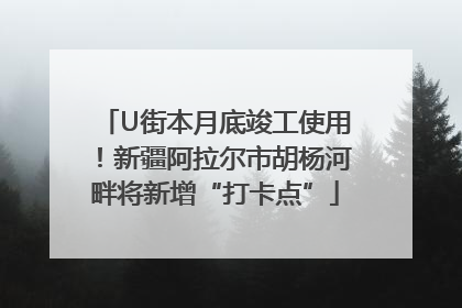 U街本月底竣工使用！新疆阿拉尔市胡杨河畔将新增“打卡点”
